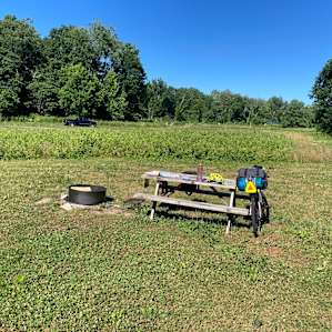 The view of the site looking toward the road that runs through the property.