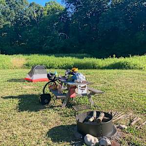The view of the site looking toward the trees (in which the rooster and chicken coops are nestled).