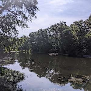 Relaxin on the River