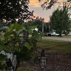 #1 - Hunt’s Hillside Vineyard-Foch