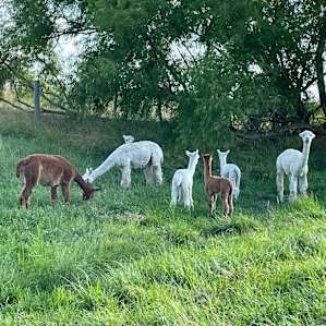 Red Barn Farm Experience RV Style