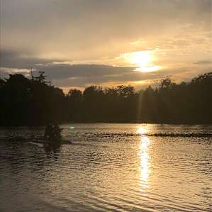 Perryn's Cabin on the Water