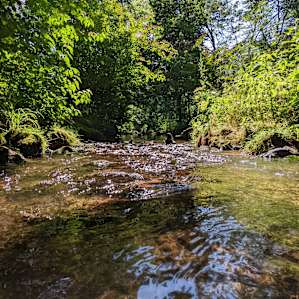 Beautiful 10' Canvas Tent on Creek