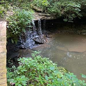 River Ridge campsite on 75 acres.