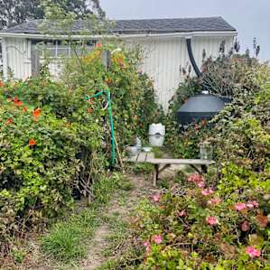 Garden by the Sea