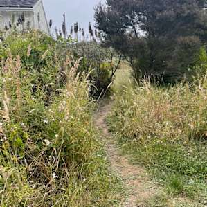 Garden by the Sea