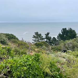 Garden by the Sea
