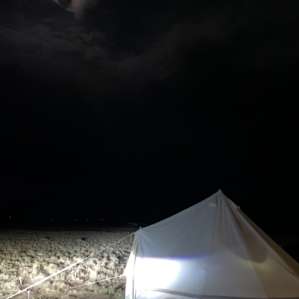 Starlight Tent 2 - Petrified Forest