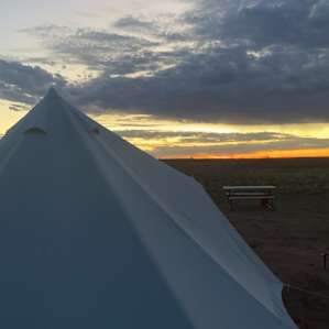 Starlight Tent 2 - Petrified Forest