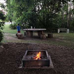 Cool Wooded Retreat
