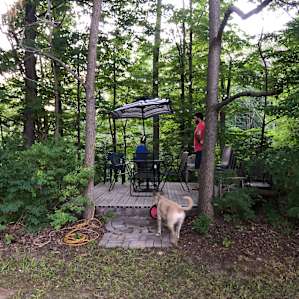 Cool Wooded Retreat