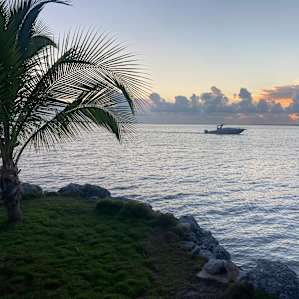 Sunset Camping