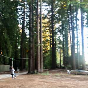 Zip line that was fun and a little thrilling for my 6&8 year old!