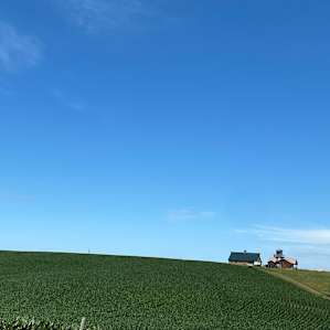 View of farm & campsite while on a walk down the road