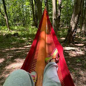 Tent camping Sanctuary in the Woods