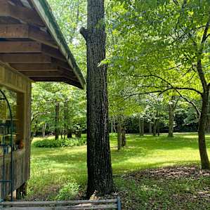 Pottery shed and Patti and Doug’s yard. Which they allow you to stroll