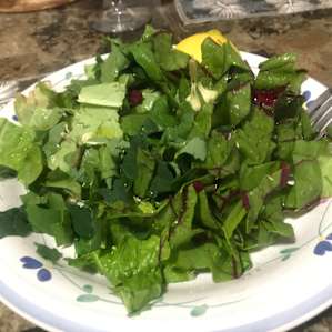 Amazing wild salad
