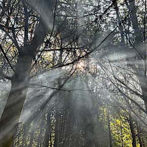 The smoke from the breakfast fire dances nicely in the sun.