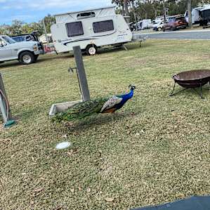 Splitters Farm Powered Campsite