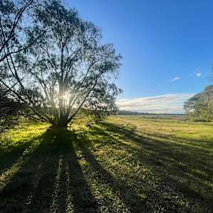 Perron Estate Camping