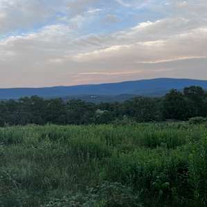 Green mtn primitive.AWD spring fall