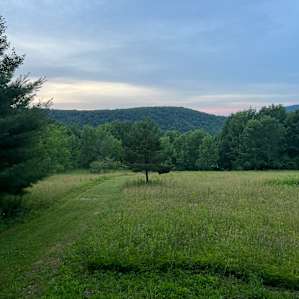 View from the porch.