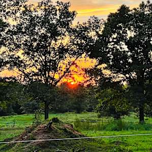Oak Creek Horse Farm