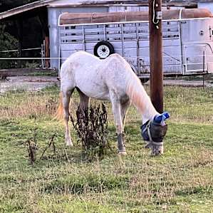 Oak Creek Horse Farm