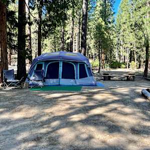 Camp Shady Meadow (Tents Provided)
