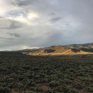 Twin Lakes Privacy