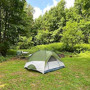 Forest Bathing Campsite