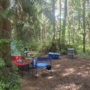 plenty of space under the cedars for a table, chairs, and stuff storage. no table on-site, but Kate provided a portable table on request