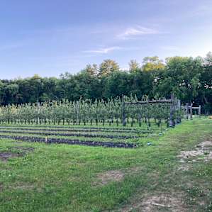 When you're coming up on the apple trees, on the left is the chicken coop.