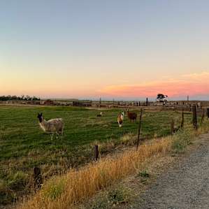 Walden Ranch Camping
