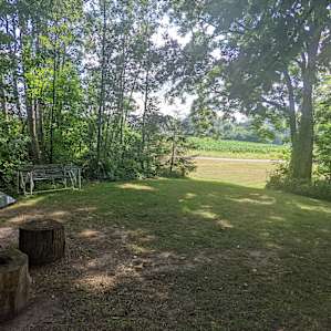 Cool Wooded Retreat