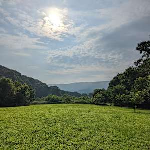 View from the field