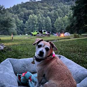 SMMC Dogwood Camping Cabin