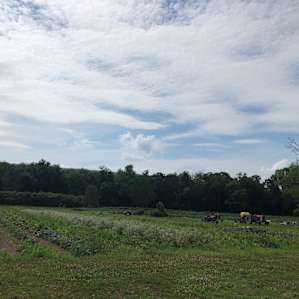 Bradley Farm Campsite
