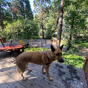 Ozz Ranch Viking Cabin and Teepee
