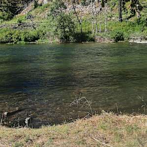 McKenzie River RV Spot