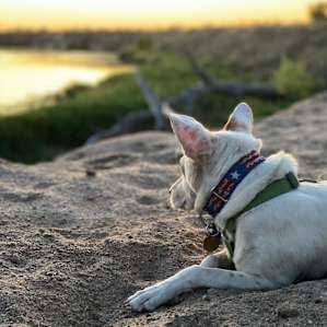 Riverside Camping