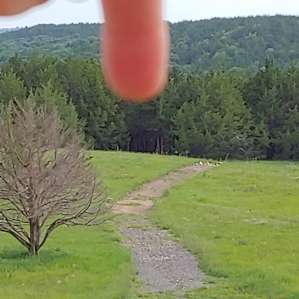 I'm pointing at our hidden campsite... view from the shower house