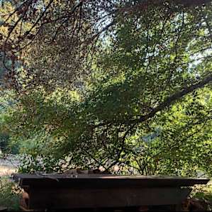 The Lean-To