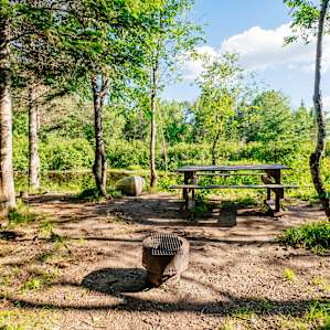 Cooking pit and picnic table