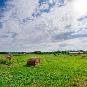 Large field