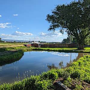 Beautiful Zenzen Gardens