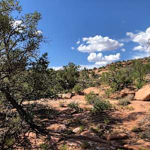 View from the cooking/campfire area