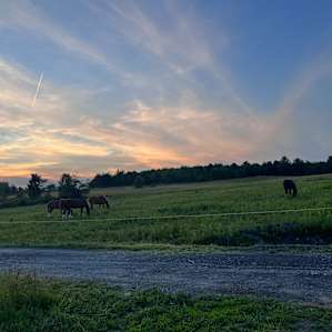 The Shipsky Farm