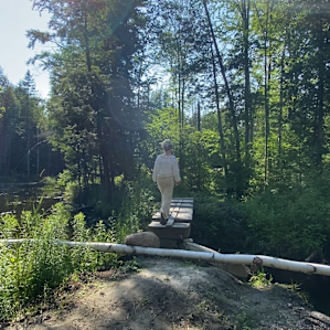 Yurtle by the Pond