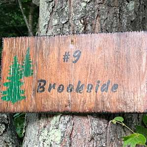 Brook Side Camping (#9)